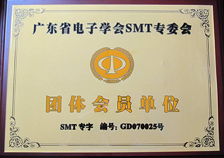 Unité de membre du groupe de Guangdong SMT